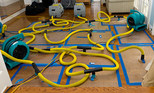 Professional Storm Water Damage Restoration technician working in Westfield Center, OH
